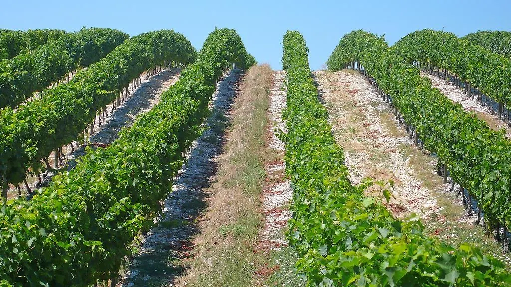 Gites Les Cerisiers Blacons France